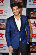Mohit Marwah at Big Star Entertainment Awards Red Carpet in Mumbai on 18th Dec 2014